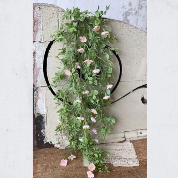 Draping Pink Primrose Vine - Picture 1 of 2